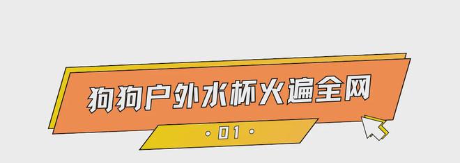 熊貓體育官網：價值千億美元市場狗狗戶外水杯出海爆單寵物戶外到底多吸金？(圖1)
